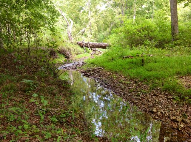 0 Barryman Hollow Rd