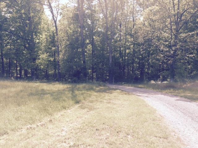 0 Mt Lebanon Rd