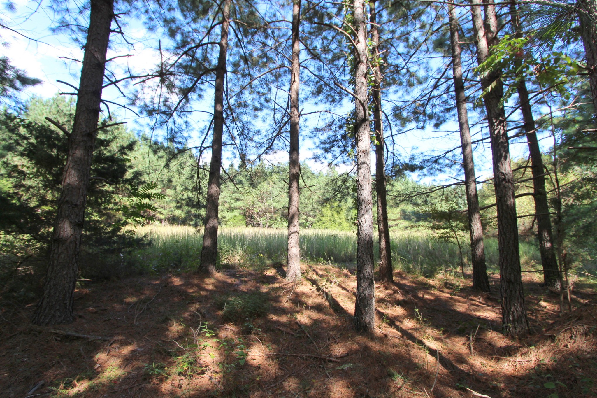 0 Indian Creek Rd