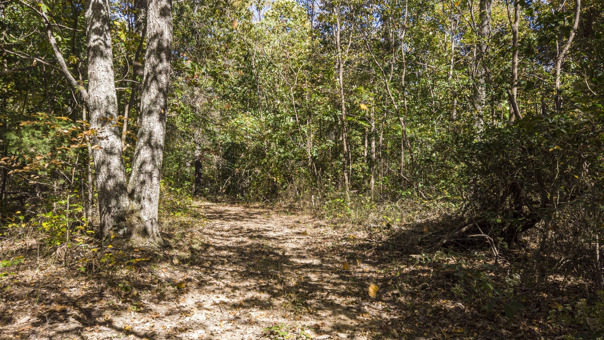 0 Bull Run Rd