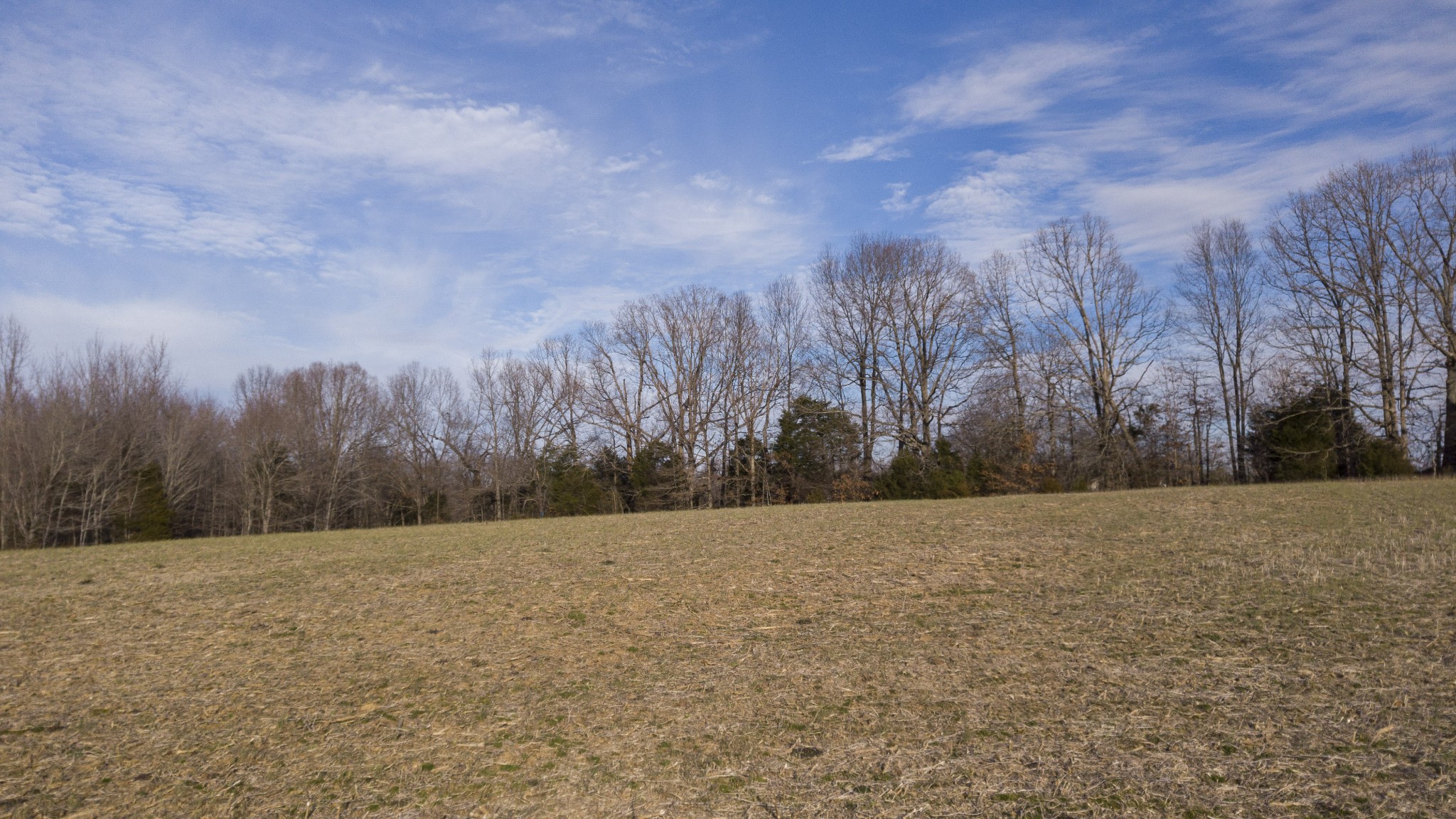 1224 Hortense Rd