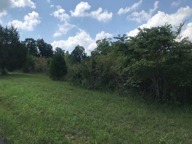 0 Shelter Branch Rd