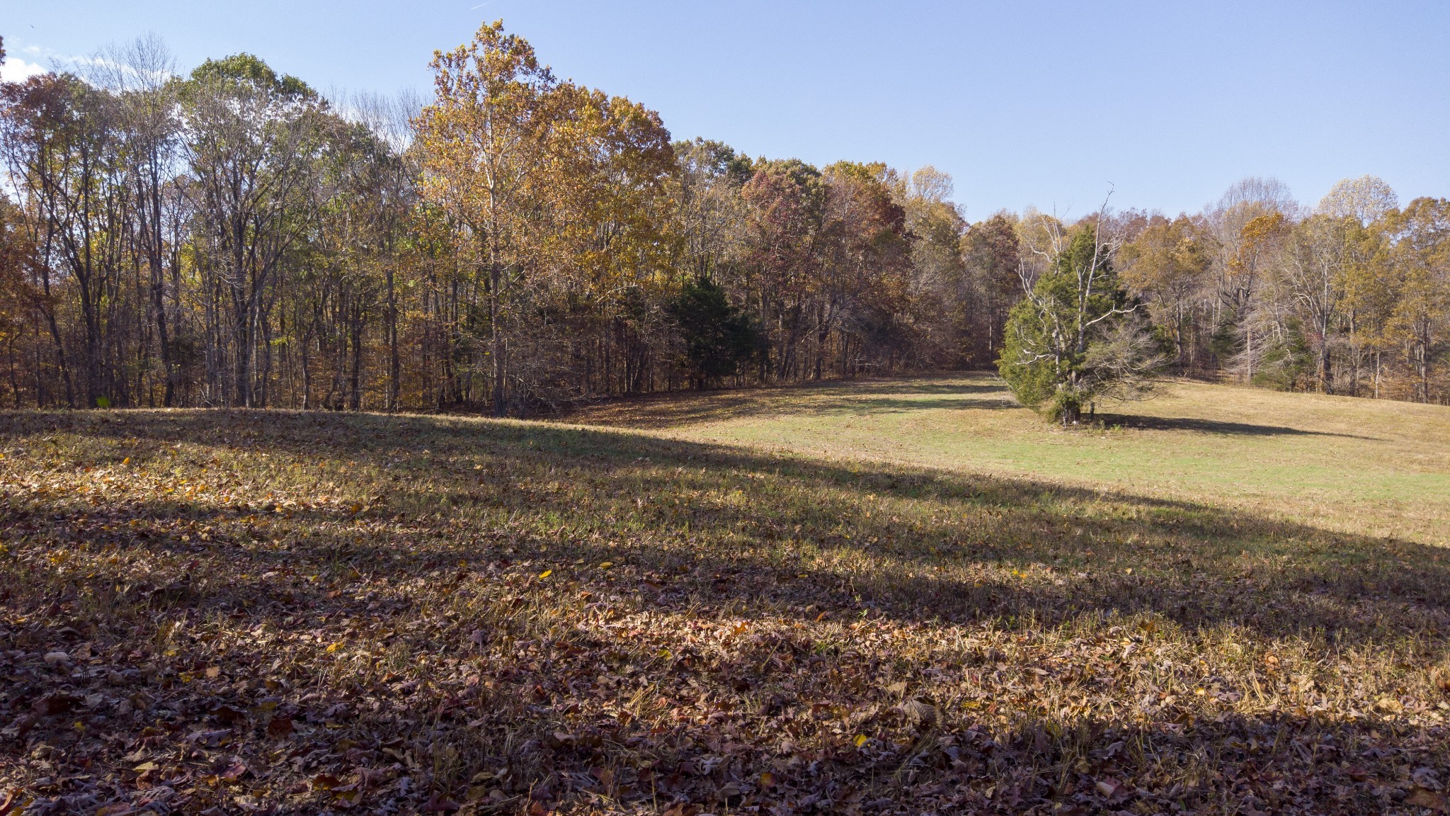 0 Murphy Hollow Rd