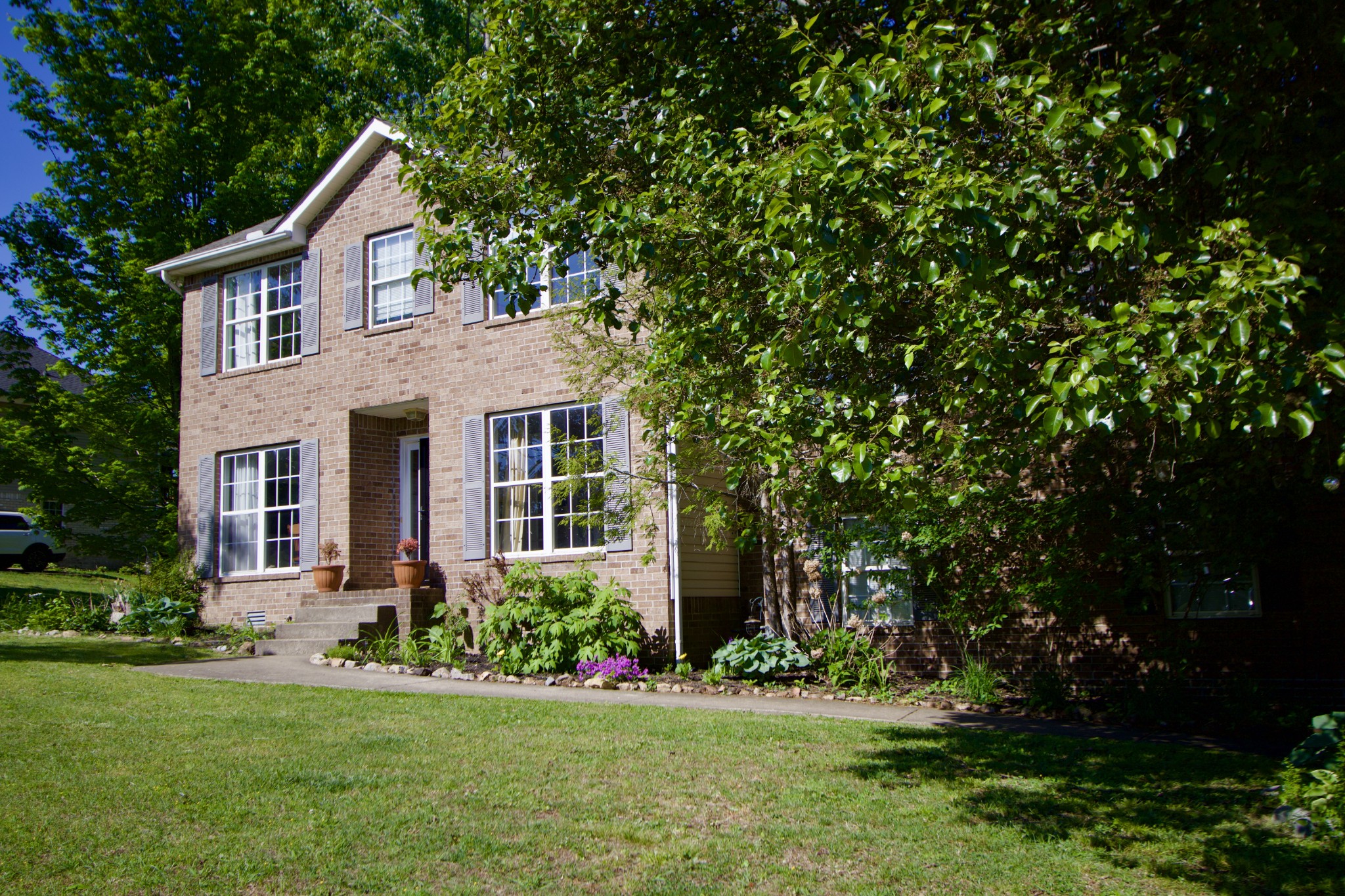 7303 Cox Run Ct